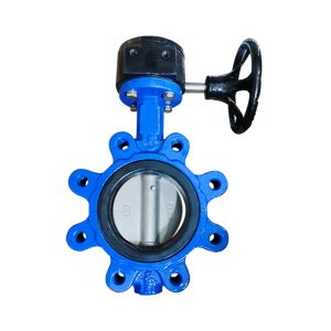 Lug butterfly valve