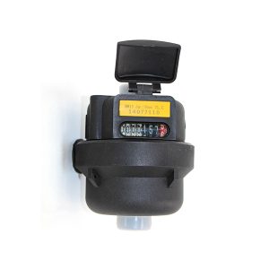 Rotary Piston Liquid Sealed Water Meter